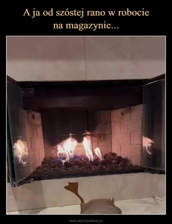 A ja od szóstej rano w robocie na magazynie...