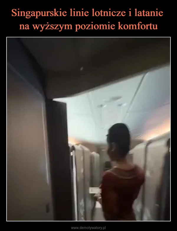 Singapurskie linie lotnicze i latanie na wyższym poziomie komfortu