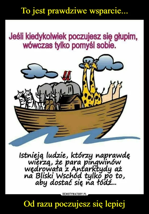 To jest prawdziwe wsparcie... Od razu poczujesz się lepiej