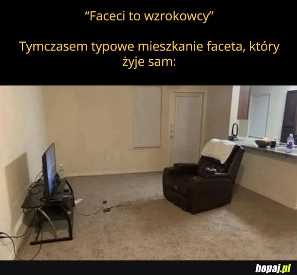 Faceci to wzrokowcy