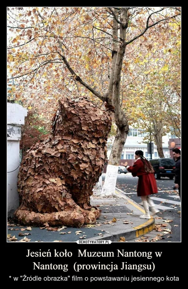 Jesień koło Muzeum Nantong w Nantong (prowincja Jiangsu)