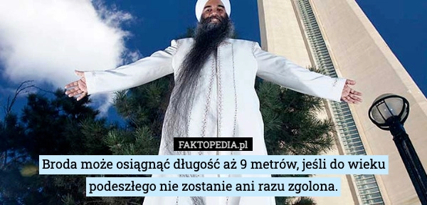 Broda może osiągnąć długość aż 9 metrów, jeśli do wieku podeszłego nie zostanie