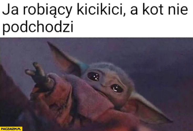 
    Ja robiący kicikici a kot nie podchodzi smutny mały Yoda