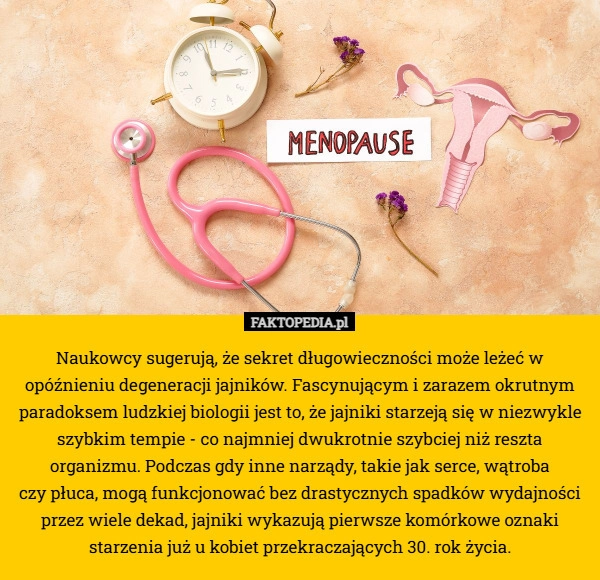 
    Naukowcy sugerują, że sekret długowieczności może leżeć w opóźnieniu degeneracji