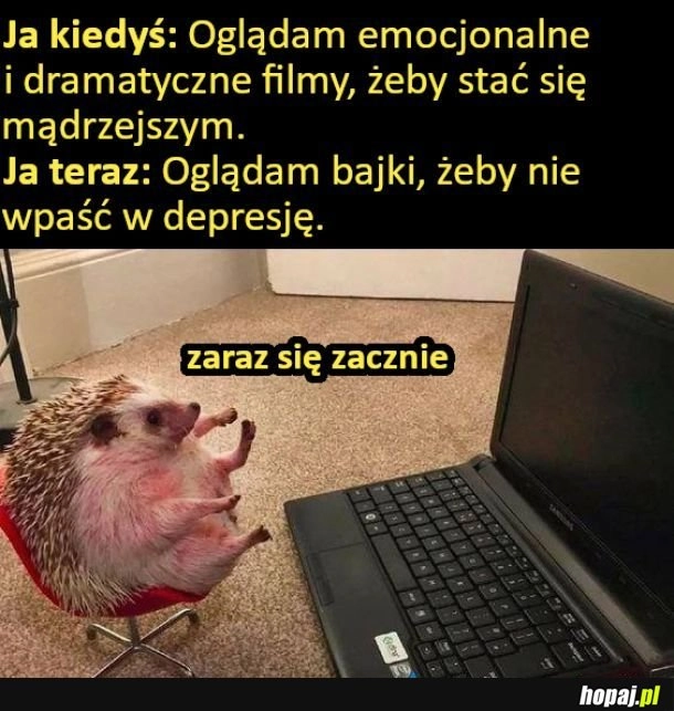 Jeżyk