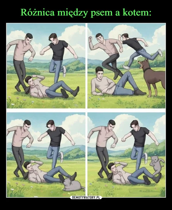 Różnica między psem a kotem: