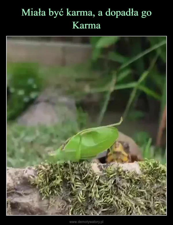 Miała być karma, a dopadła go Karma
