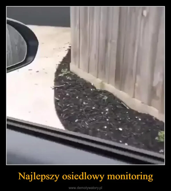 Najlepszy osiedlowy monitoring