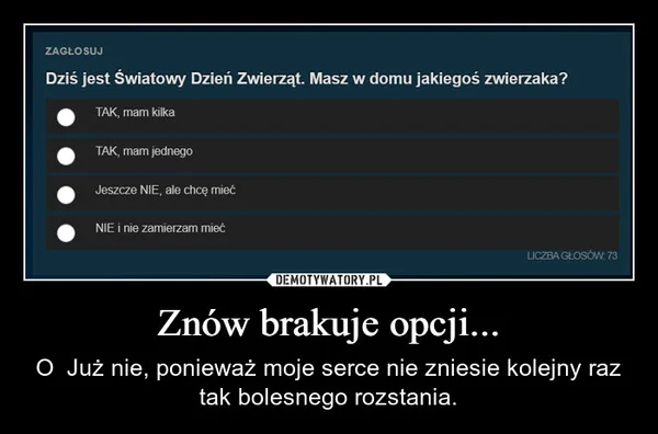 Znów brakuje opcji...