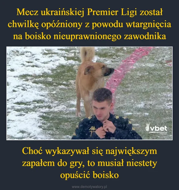 
    Mecz ukraińskiej Premier Ligi został chwilkę opóźniony z powodu wtargnięcia na boisko nieuprawnionego zawodnika Choć wykazywał się największym zapałem do gry, to musiał niestety opuścić boisko