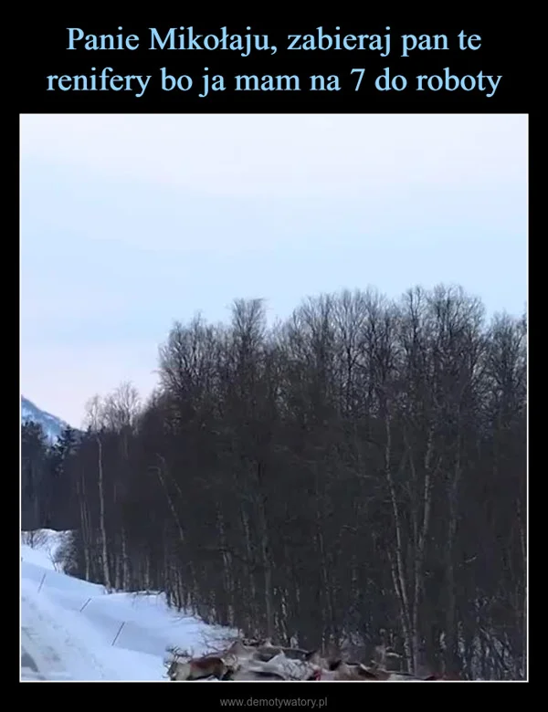 
    Panie Mikołaju, zabieraj pan te renifery bo ja mam na 7 do roboty