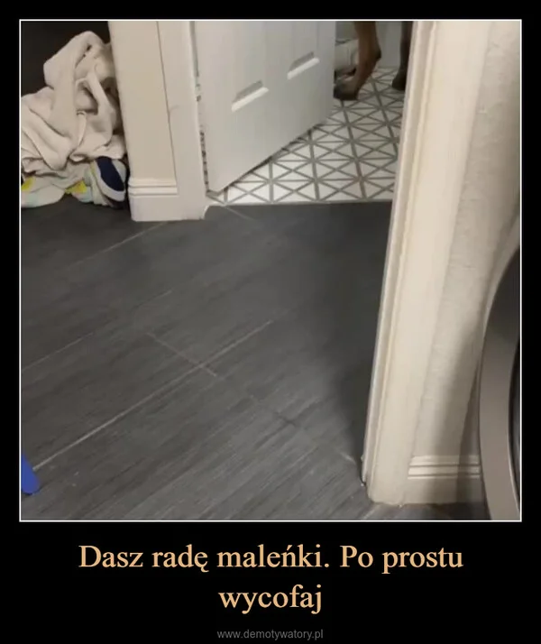 Dasz radę maleńki. Po prostu wycofaj