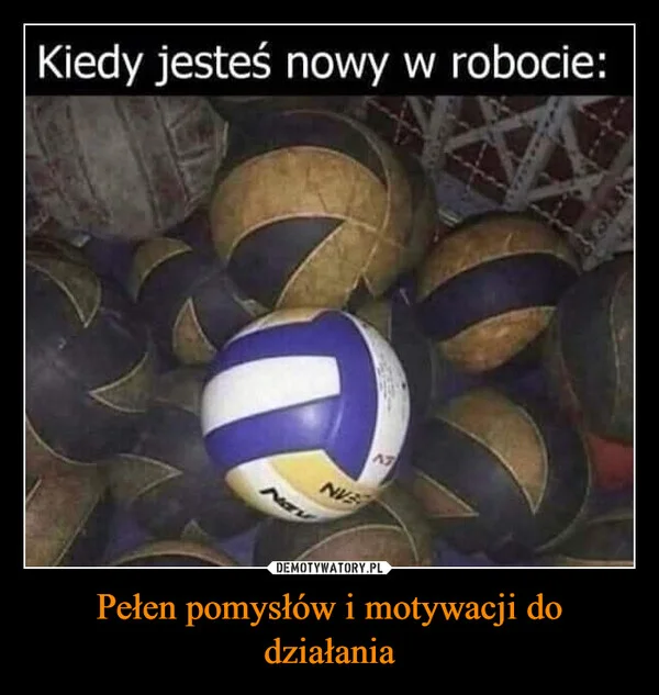 Pełen pomysłów i motywacji do działania
