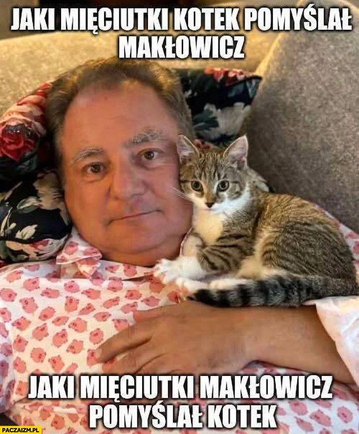 Jaki mięciutki kotek pomyślał Makłowicz, jaki mięciutki Makłowicz pomyślał kotek