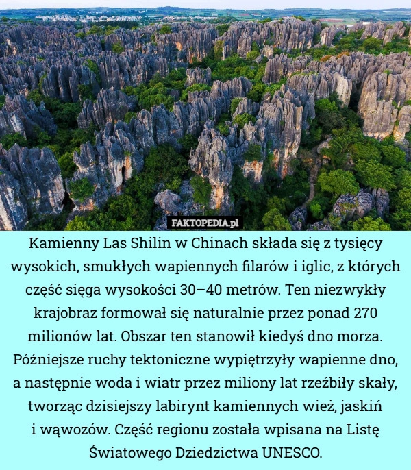 Kamienny Las Shilin w Chinach składa się z tysięcy wysokich, smukłych wapiennych