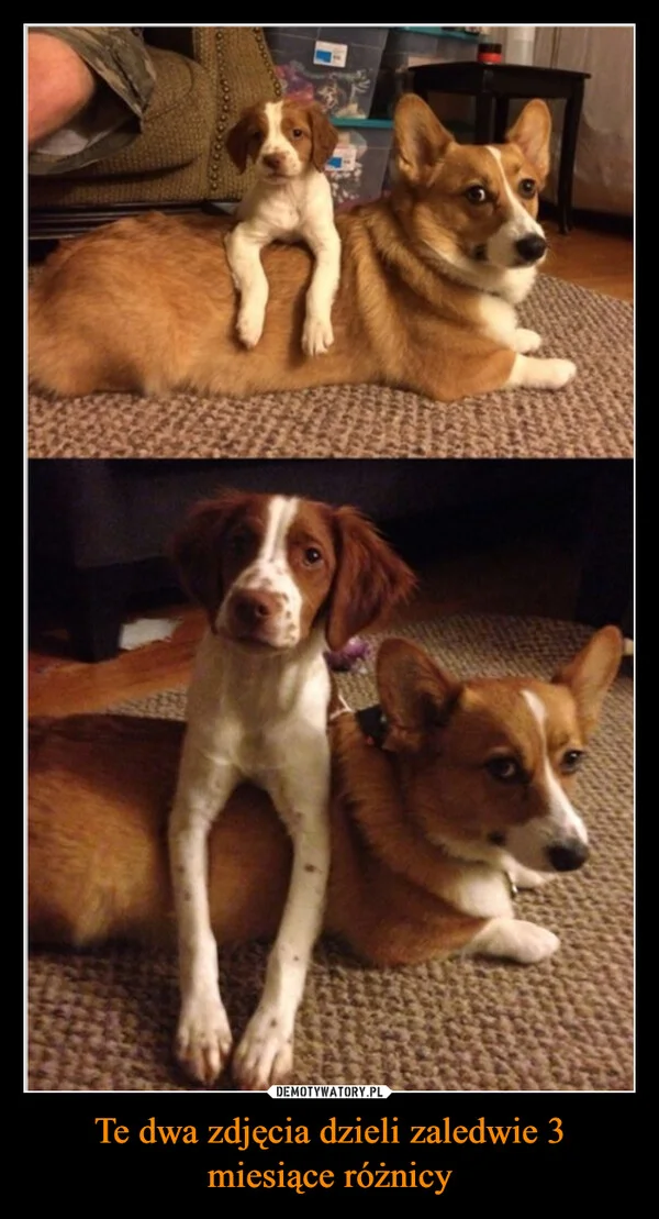 Te dwa zdjęcia dzieli zaledwie 3 miesiące różnicy