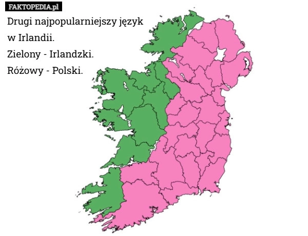Drugi najpopularniejszy język
w Irlandii.
Zielony - Irlandzki.
Różowy -