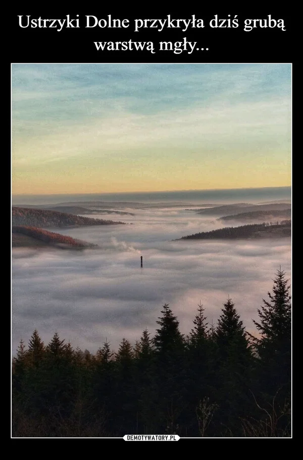 Ustrzyki Dolne przykryła dziś grubą warstwą mgły...