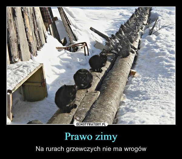 Prawo zimy
