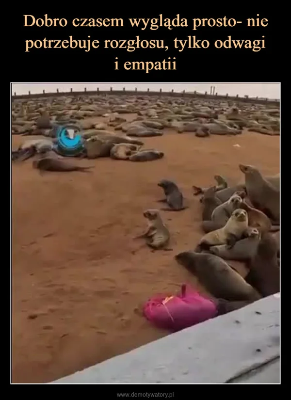 Dobro czasem wygląda prosto- nie potrzebuje rozgłosu, tylko odwagi i empatii