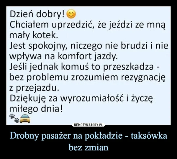 
    Drobny pasażer na pokładzie - taksówka bez zmian