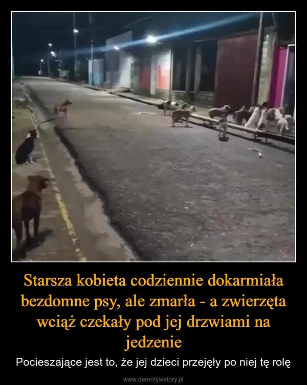 Starsza kobieta codziennie dokarmiała bezdomne psy, ale zmarła - a zwierzęta wciąż czekały pod jej drzwiami na jedzenie