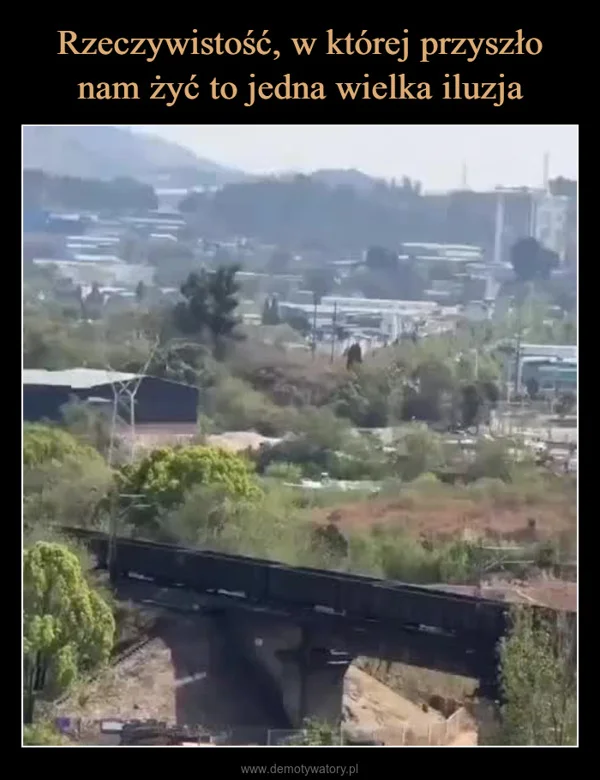 Rzeczywistość, w której przyszło nam żyć to jedna wielka iluzja