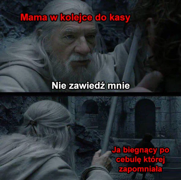 Ważna misja