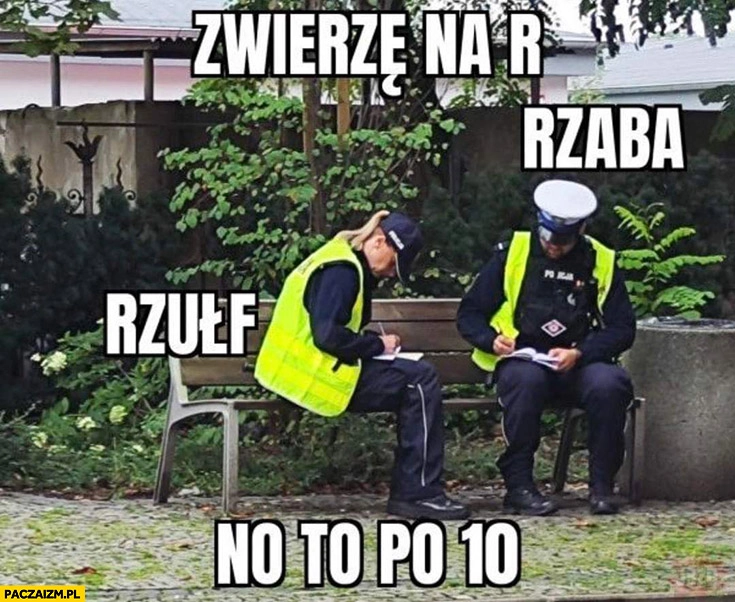 
    Policjanci grają w państwa miasta zwierzę na r rzaba rzułf no to po 10