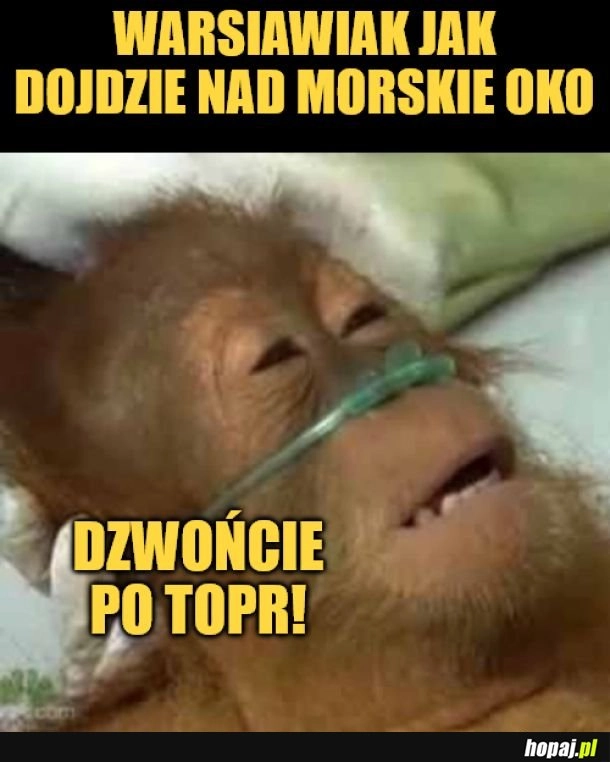 Wyjątkowo trudna wyprawa. 