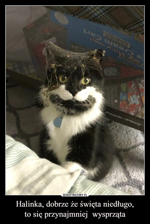 Halinka, dobrze że święta niedługo, to się przynajmniej wysprząta