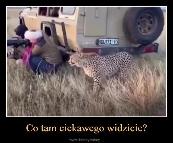 Co tam ciekawego widzicie?