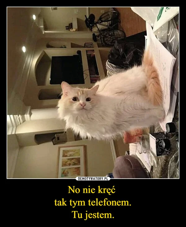 No nie kręć tak tym telefonem. Tu jestem.