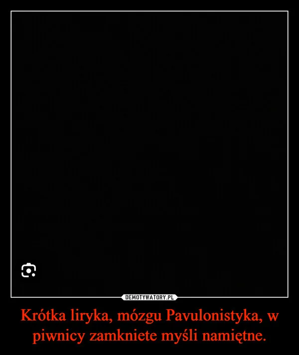 Krótka liryka, mózgu Pavulonistyka, w piwnicy zamkniete myśli namiętne.