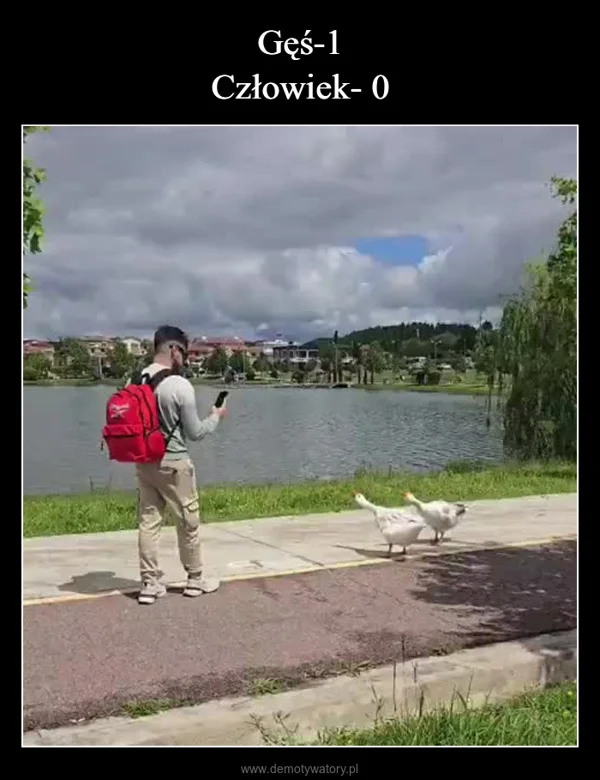 Gęś-1 Człowiek- 0