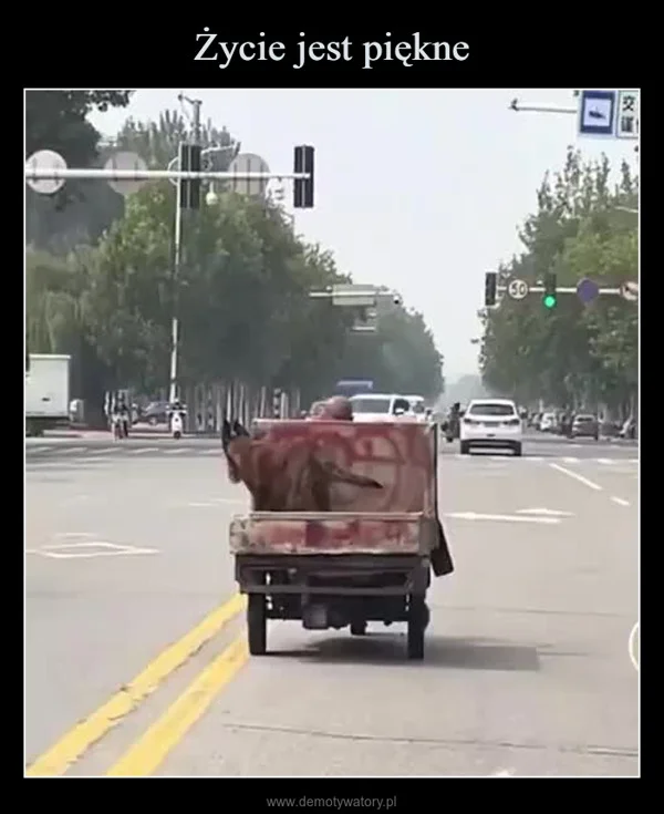Życie jest piękne
