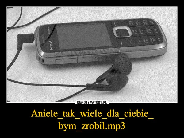Aniele_tak_wiele_dla_ciebie_ bym_zrobil.mp3