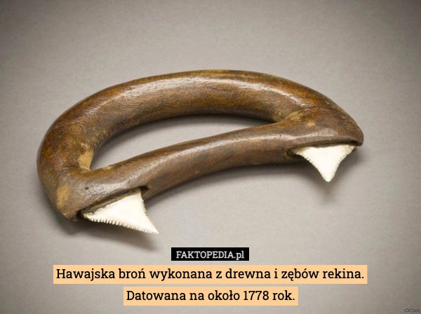 Hawajska broń wykonana z drewna i zębów rekina.
Datowana na około 1778 rok.
