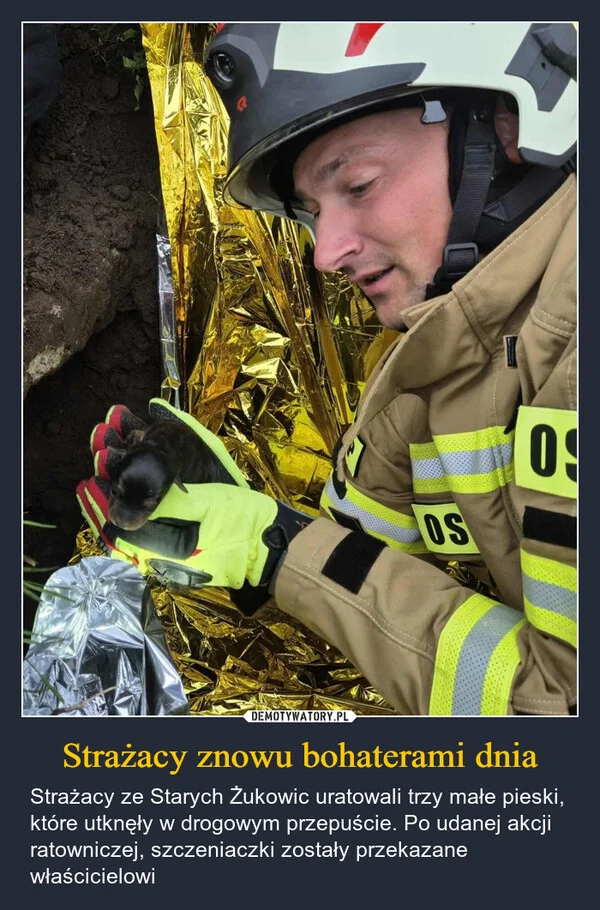 Strażacy znowu bohaterami dnia