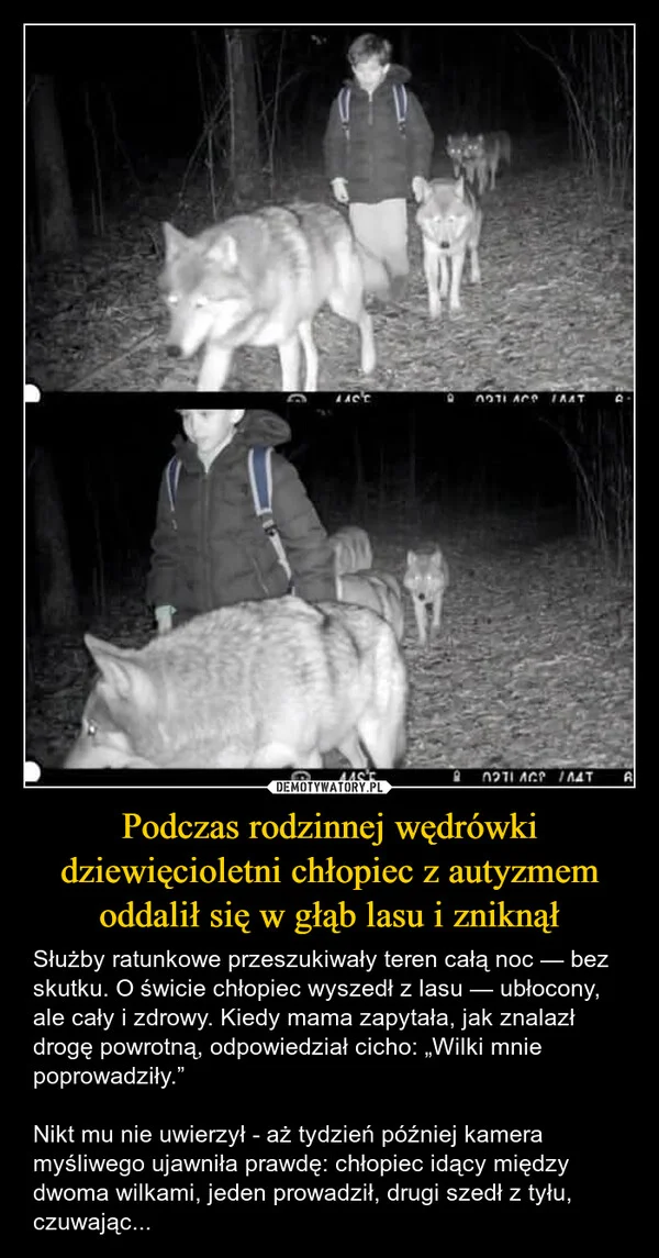 Podczas rodzinnej wędrówki dziewięcioletni chłopiec z autyzmem oddalił się w głąb lasu i zniknął