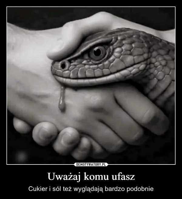 Uważaj komu ufasz