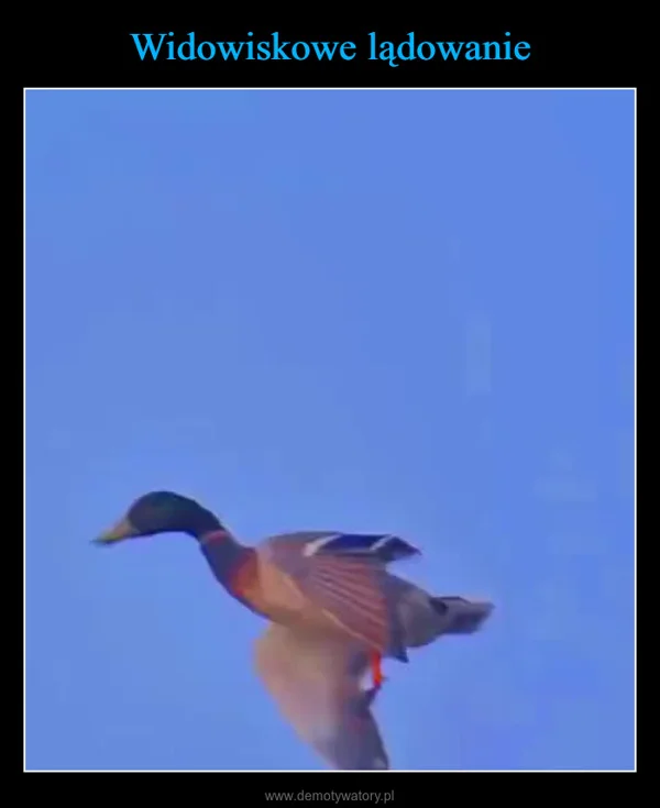 Widowiskowe lądowanie