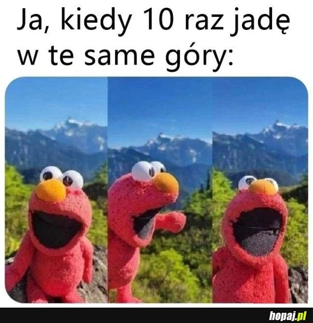 To samo xd