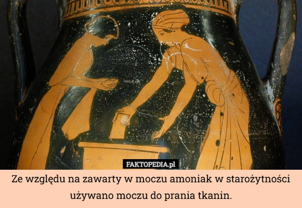 
    Ze względu na zawarty w moczu amoniak w starożytności używano moczu do prania