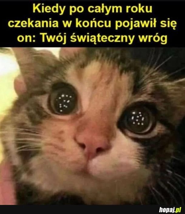 Już niedługo.