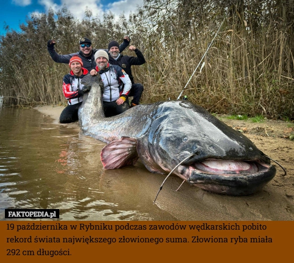 
    19 października w Rybniku podczas zawodów wędkarskich pobito rekord świata