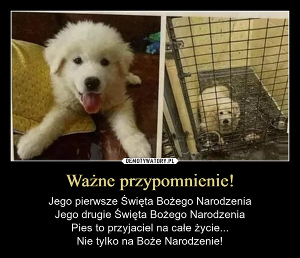 Ważne przypomnienie!