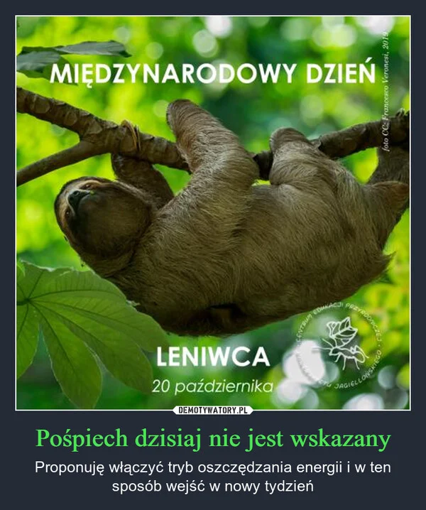 Pośpiech dzisiaj nie jest wskazany
