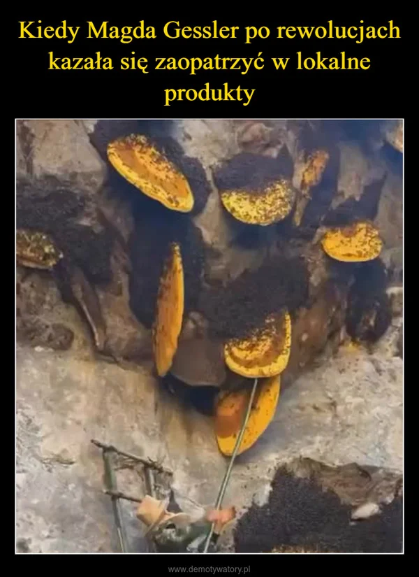 Kiedy Magda Gessler po rewolucjach kazała się zaopatrzyć w lokalne produkty