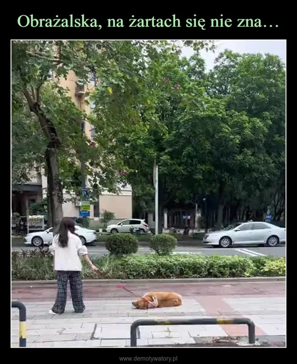 Obrażalska, na żartach się nie zna…